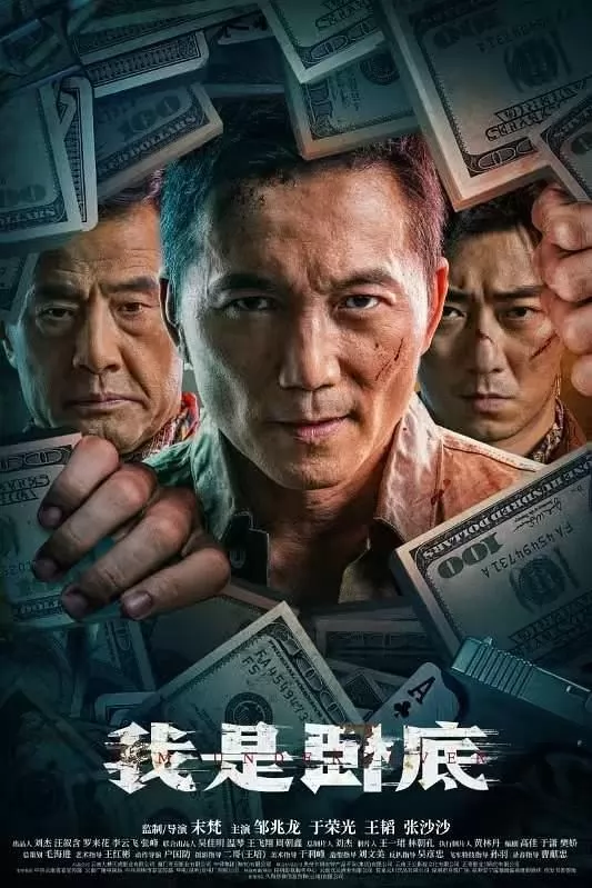 我是卧底(电影版)
